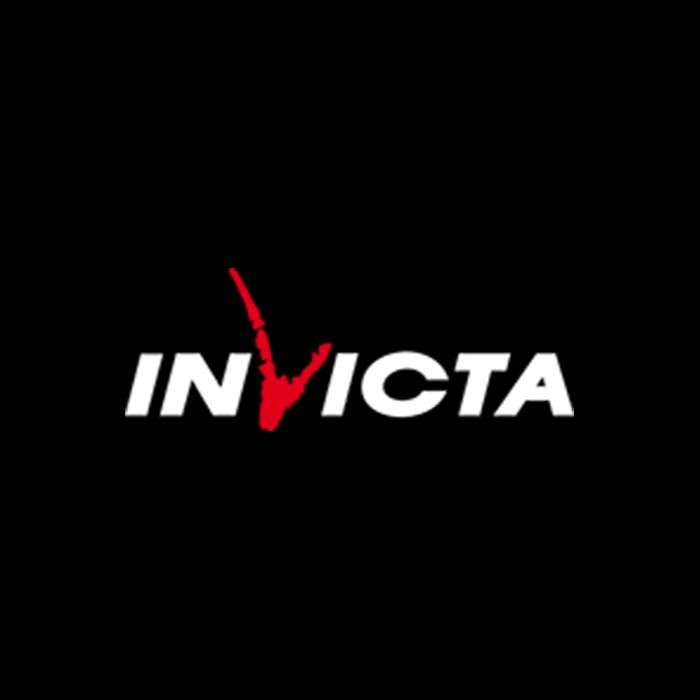 Invicta stoves wood burning and multi-fuel UK
